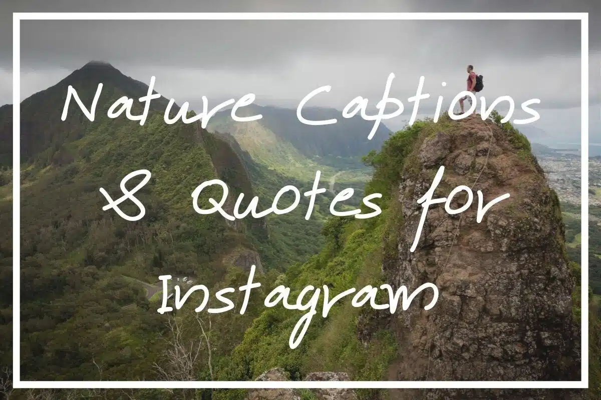 I hope this post full of 215 nature captions for Instagram comes in handy!