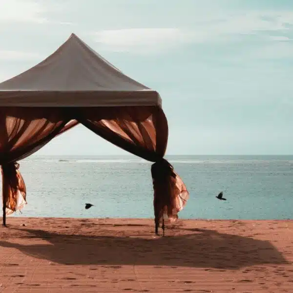 Top 8 | Best Canopy Tents for Camping [2021 Reviews]