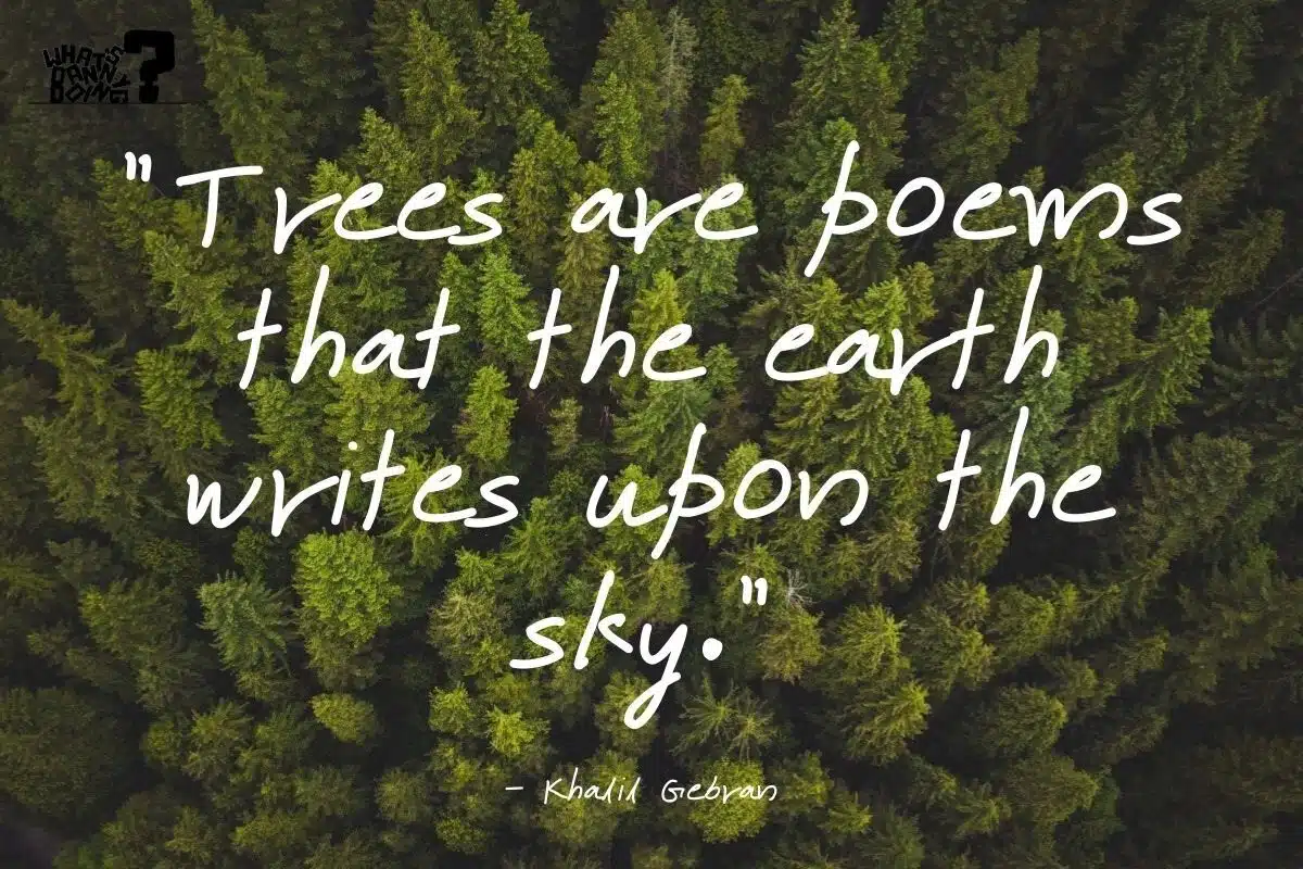 Quotes about tree planting