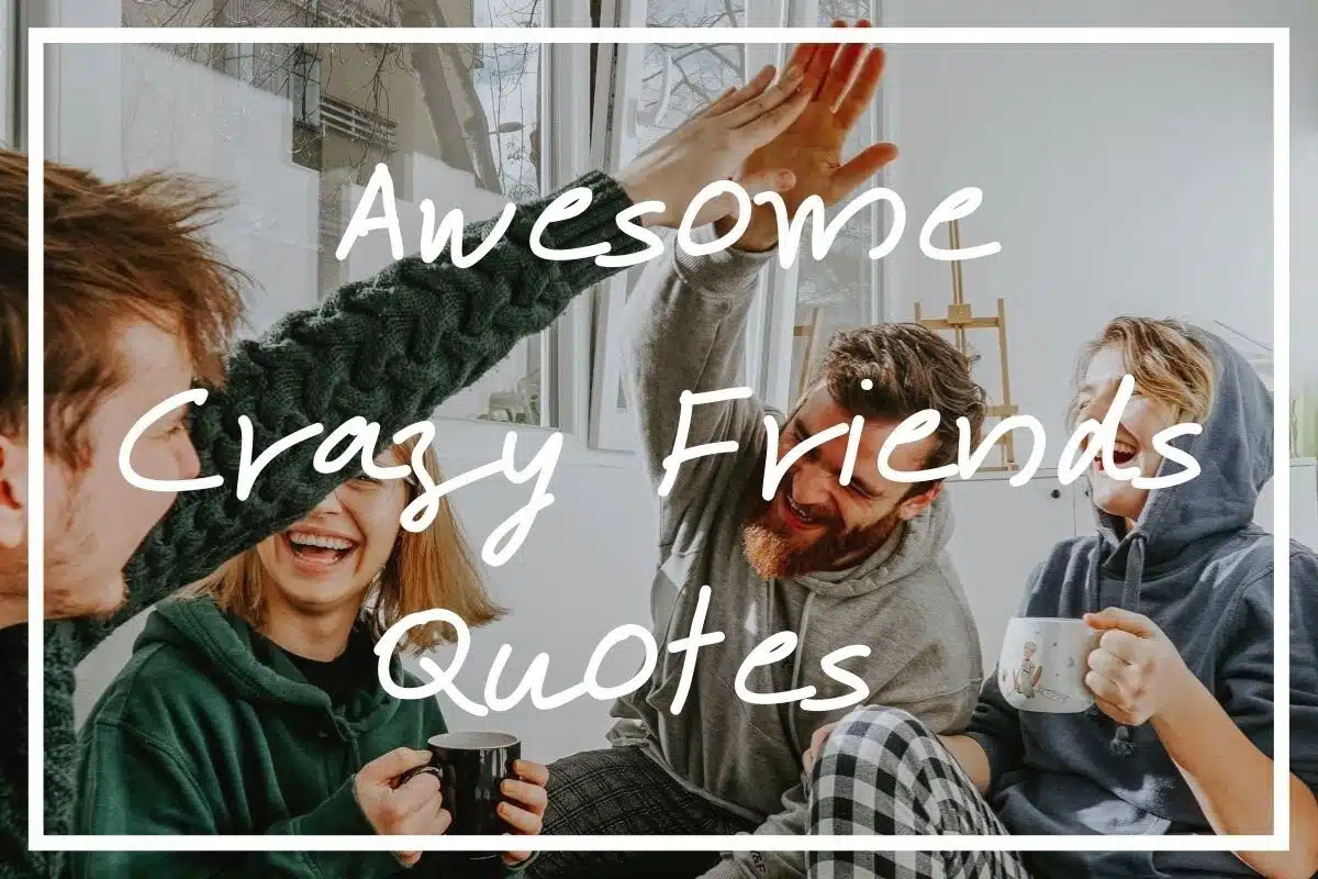 Crazy friends quotes