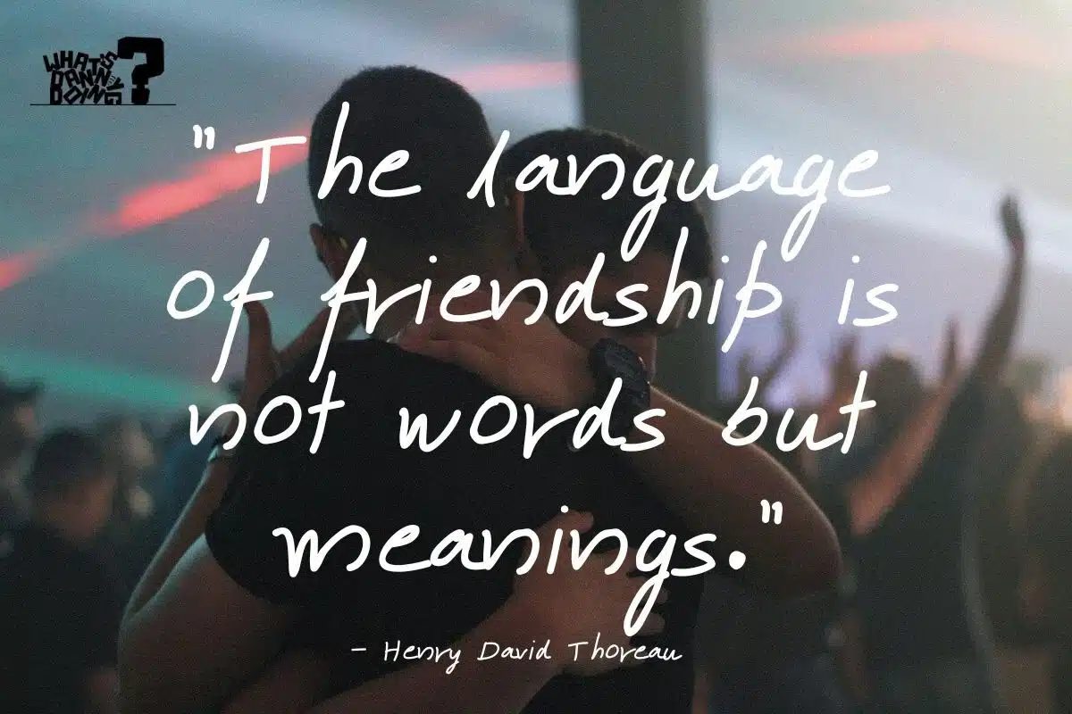 Quotes about meeting new friends