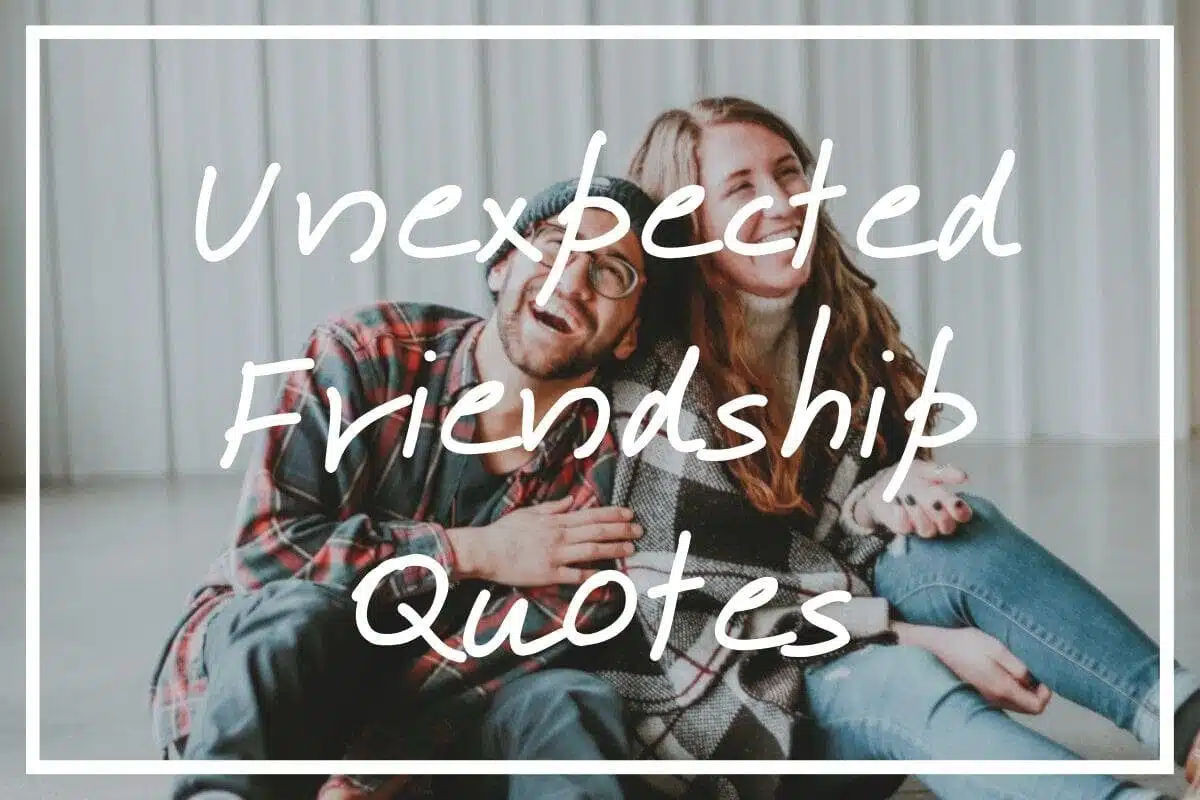 Unexpected Friendship Quotes