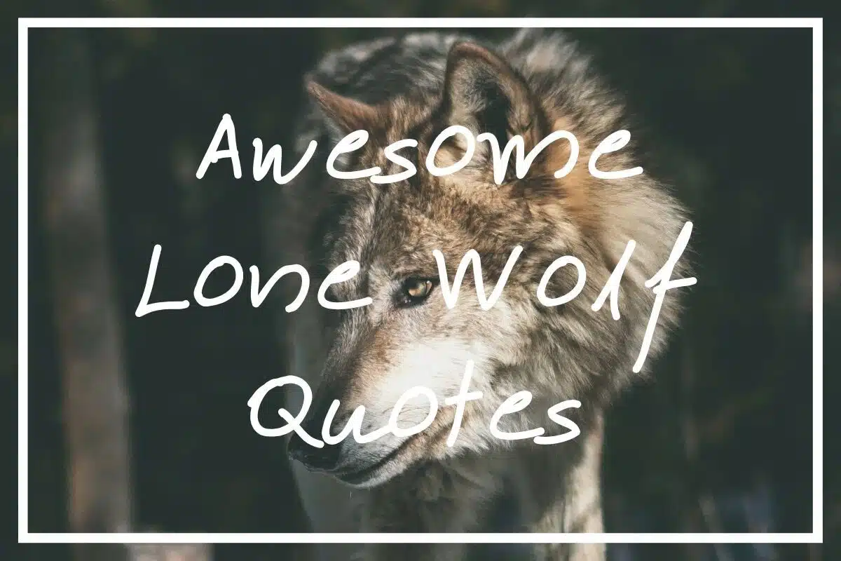 Lone Wolf Quotes