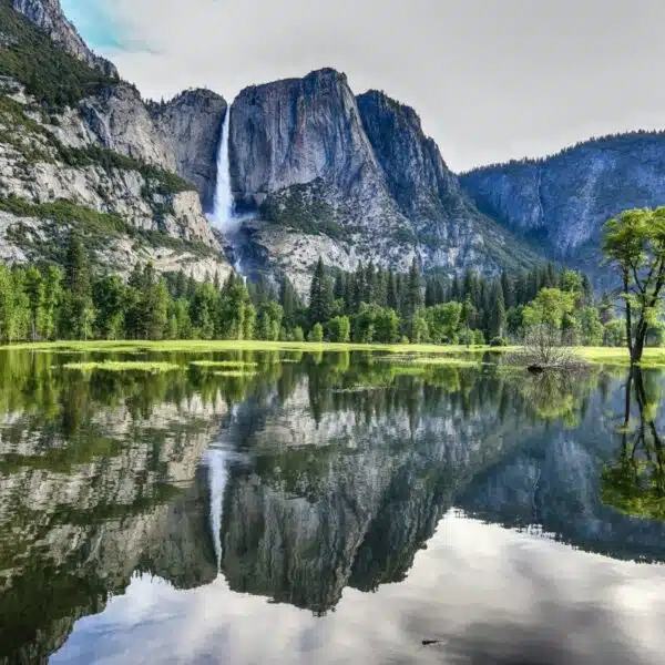 Top 11 | Best West Coast Parks [Must-Visit West Coast National Parks]