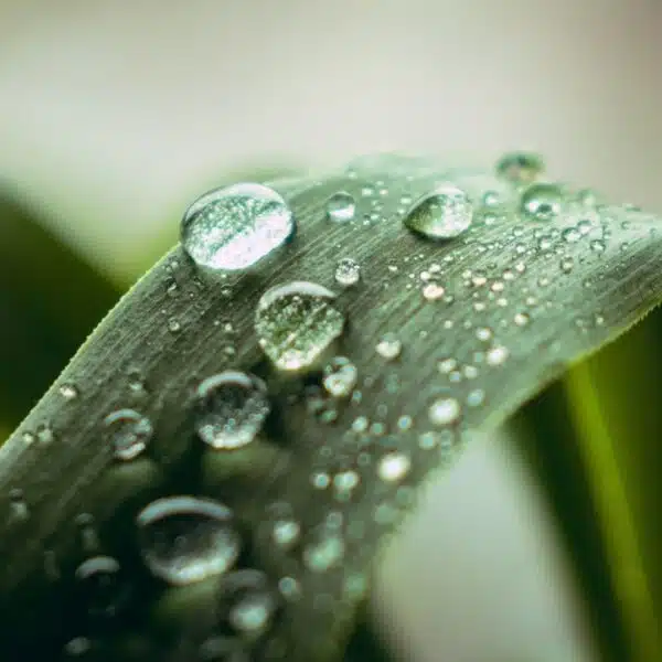 125 Best Rain Captions for Instagram [Plus Romantic Rain Quotes!]