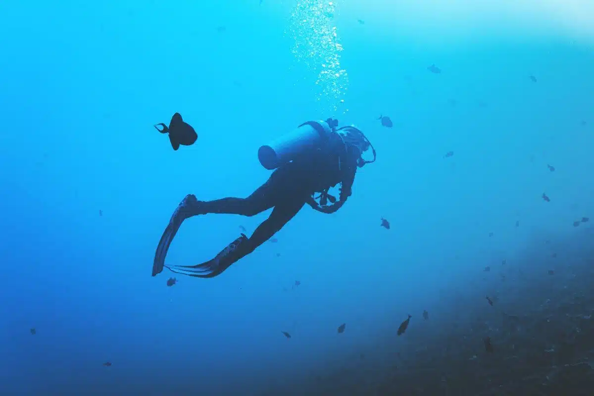 Wilderness jobs don’t get wilder than spending your days on the ocean floor as a deep sea diver!
