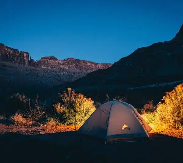 45 Best Jokes about Camping (Funny Camping Jokes for Dads!)
