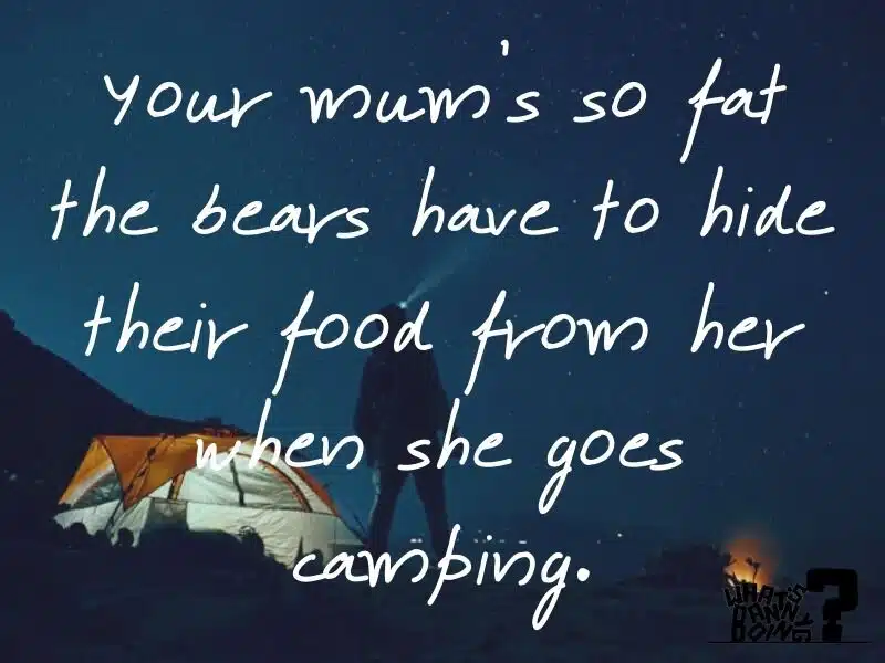 The only camping joke about mums I came across in my hunt! I had to include it…