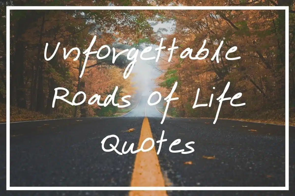I hope you get real value from this post full of 105 roads of life quotes.