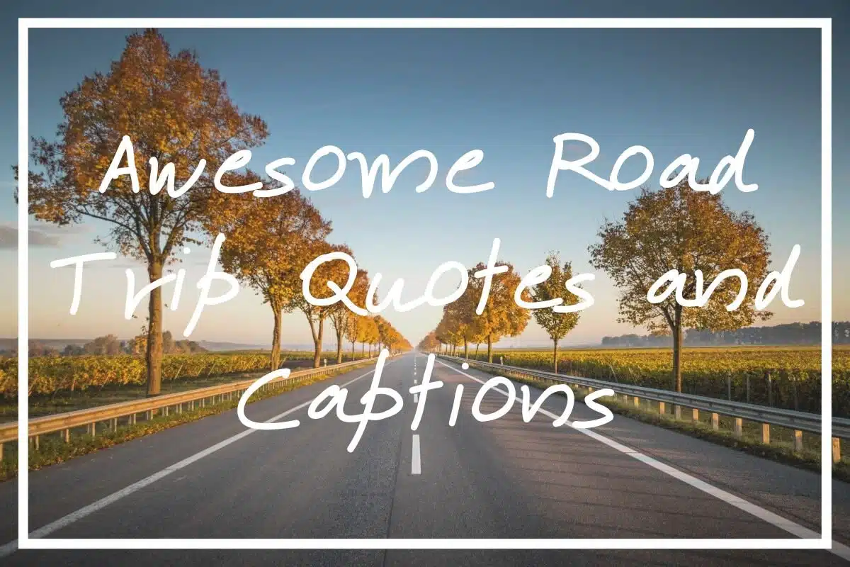 unexpected road trip quotes