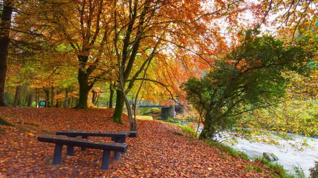 Dungarvan, Ireland