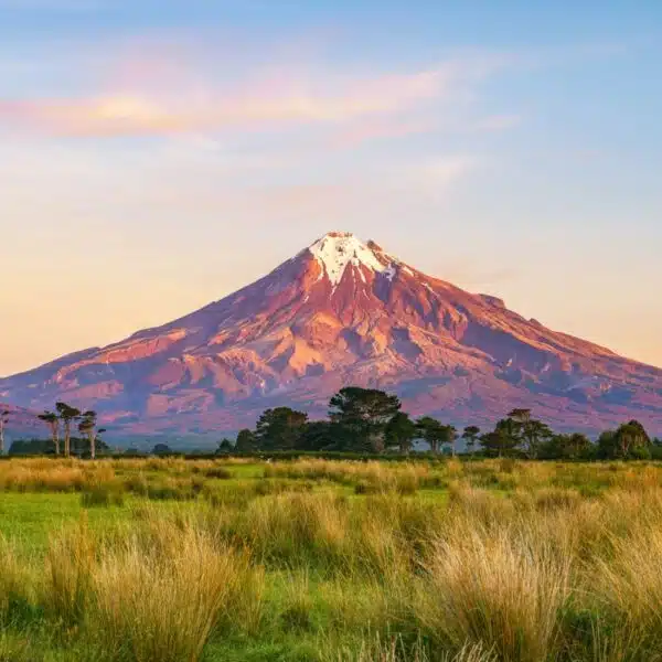 25 Unmissable Things to Do in North Island, New Zealand