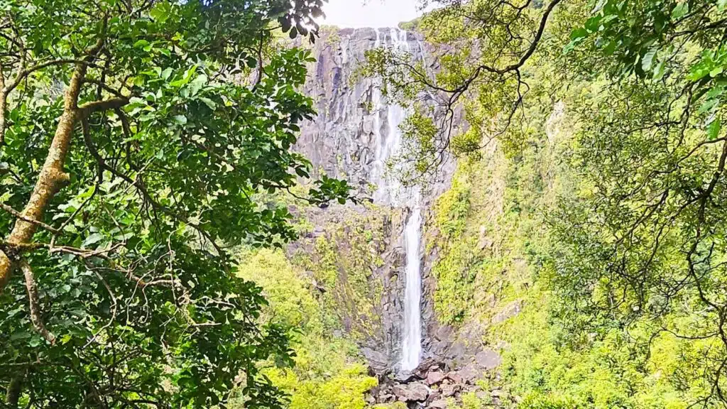 Wairere Falls view from lookout