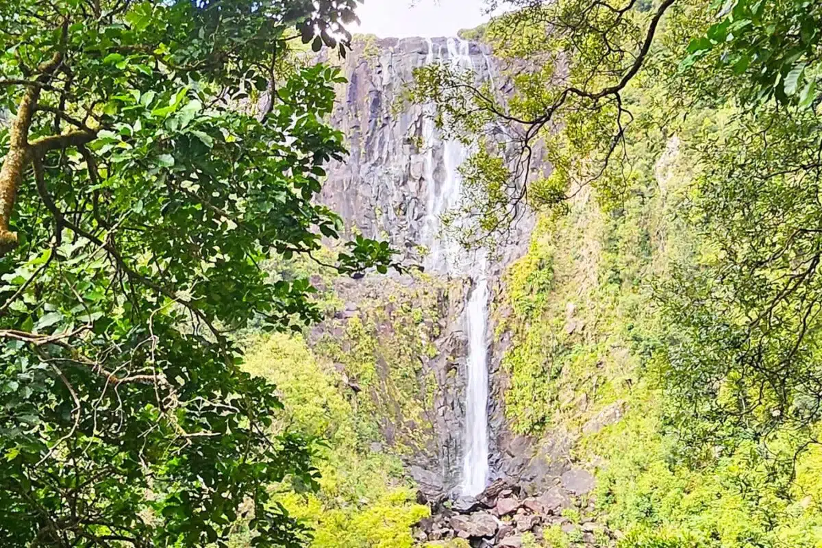 Wairere Falls view from lookout