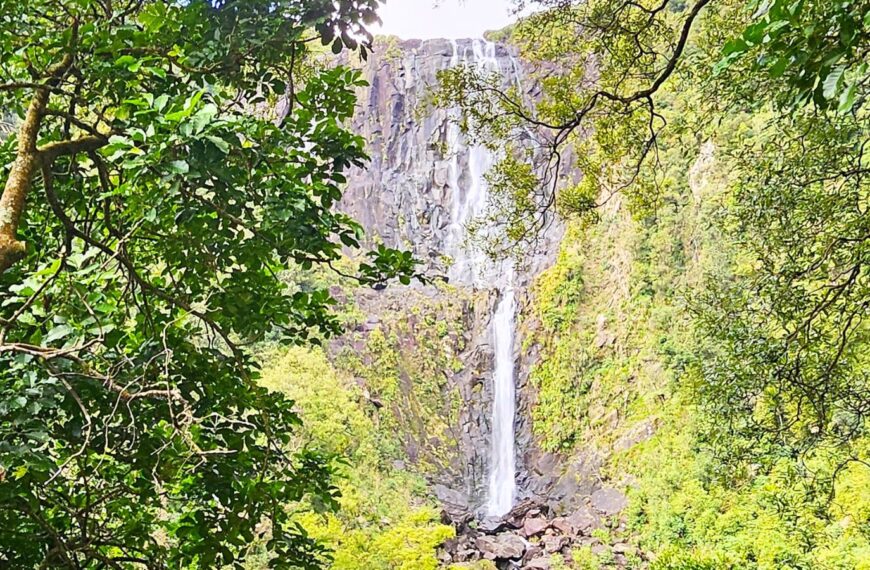 Wairere Falls view from lookout